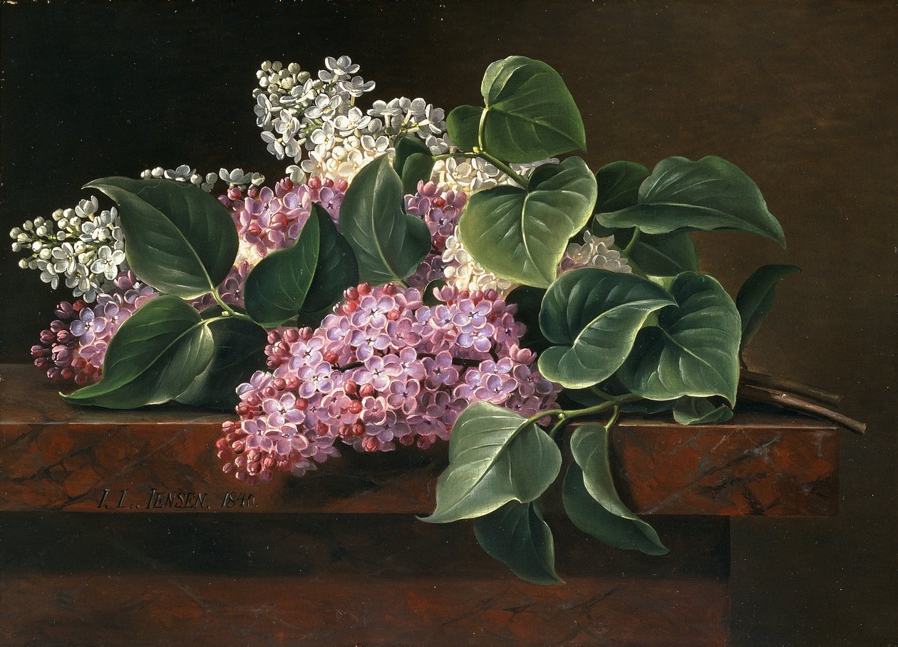 在壁架上的丁香花 作者 约翰·洛朗兹·詹森（Johan Laurents Jensen）