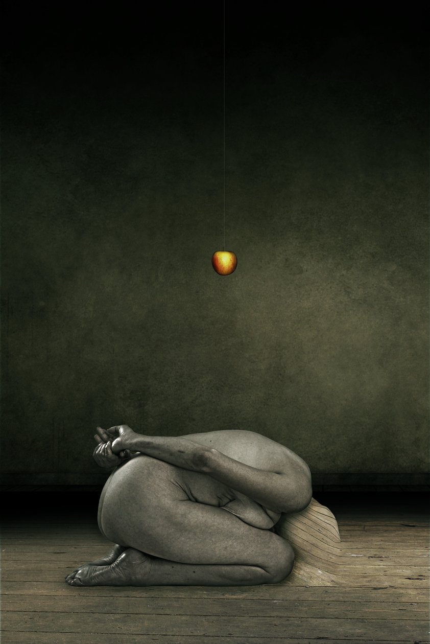 隐藏我自己，2013 年（照片处理） 作者 约翰·利利亚（Johan Lilja）