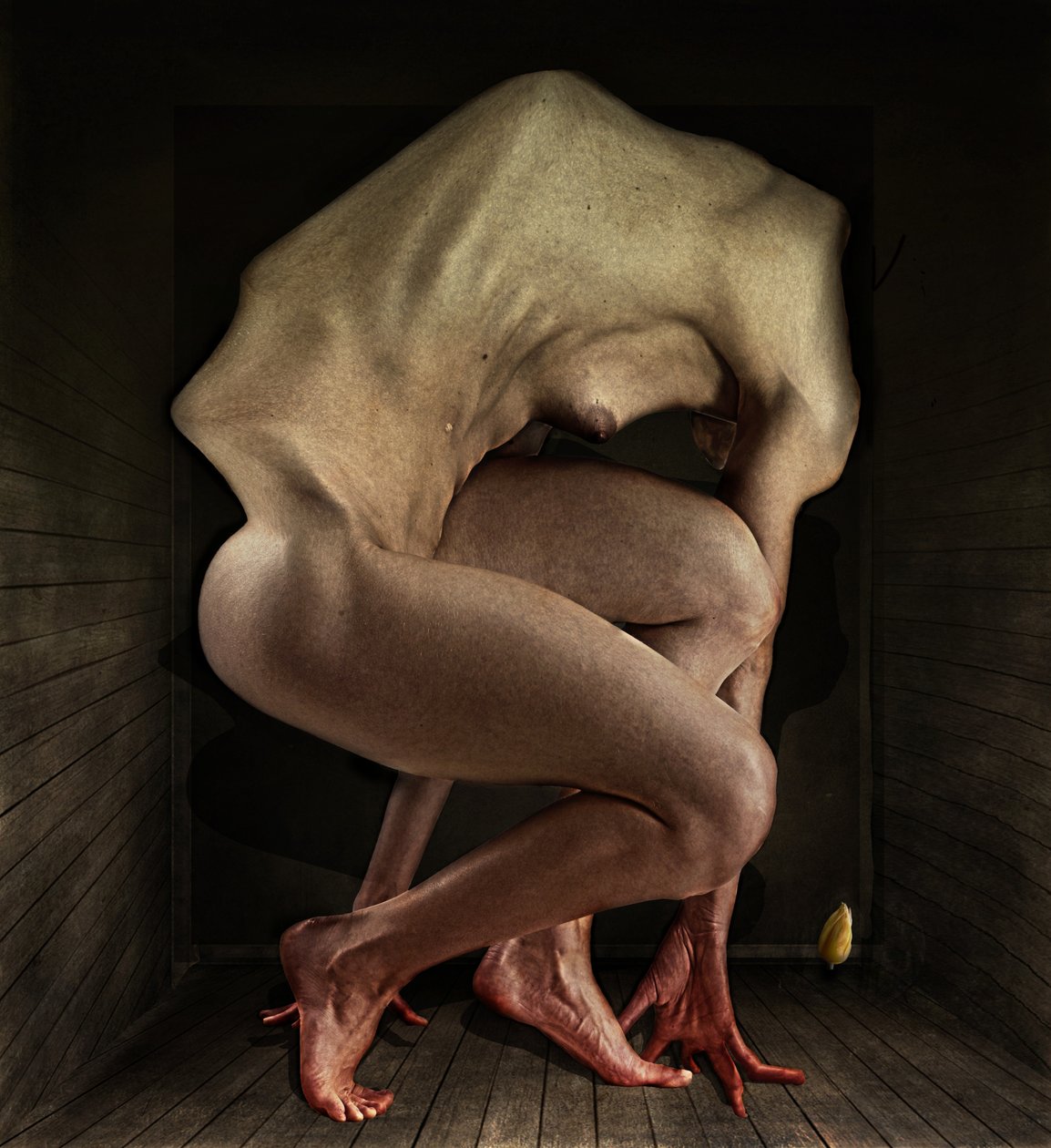 耻辱》，2012 年（摄影） 作者 约翰·利利亚（Johan Lilja）