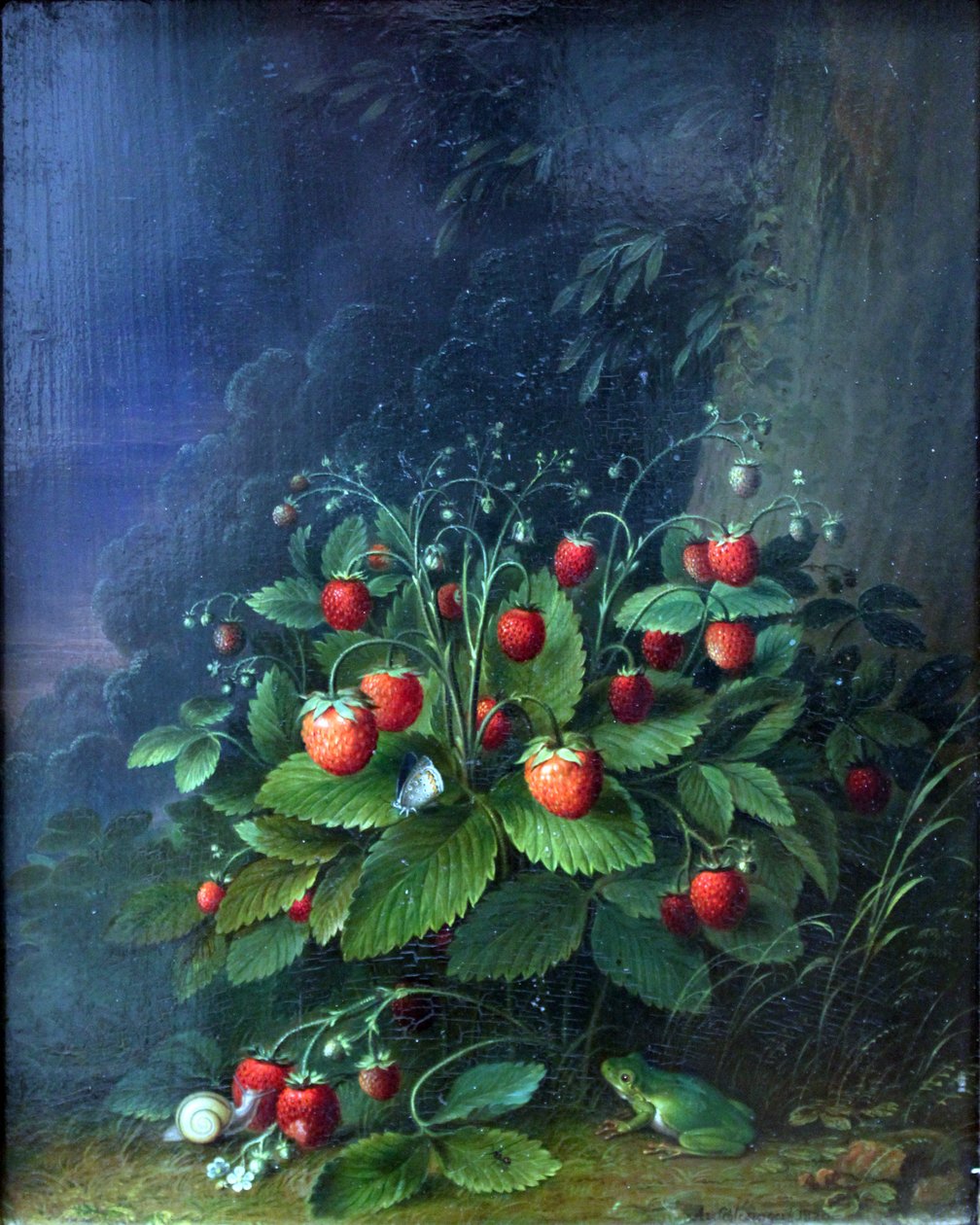 草莓 作者 约翰·亚当·施莱辛格（Johann Adam Schlesinger）