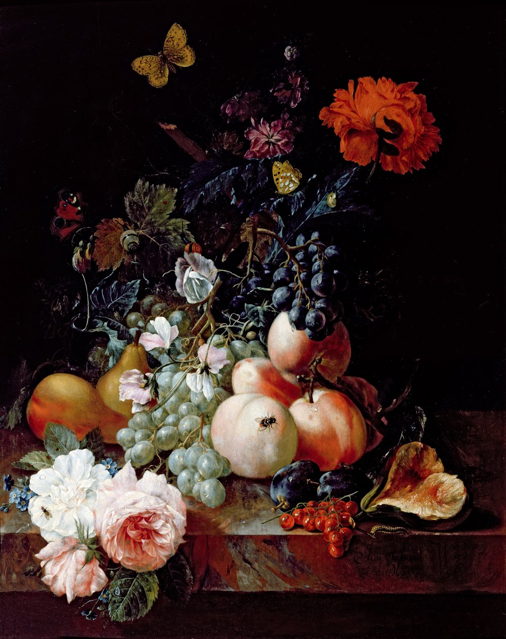 静物 作者 约翰·阿曼杜斯·温克（Johann Amandus Winck）
