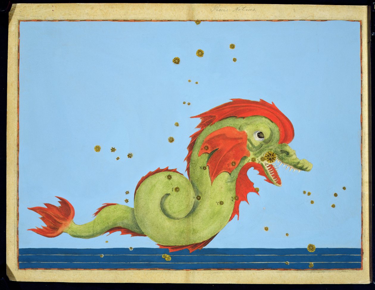 双鱼座，来自Johann Bayer的&39;Uranometria&39;，由Alexander Mair（1559-c.1616）1603（手工彩色铜版画）雕刻而成 作者 约翰·拜耳