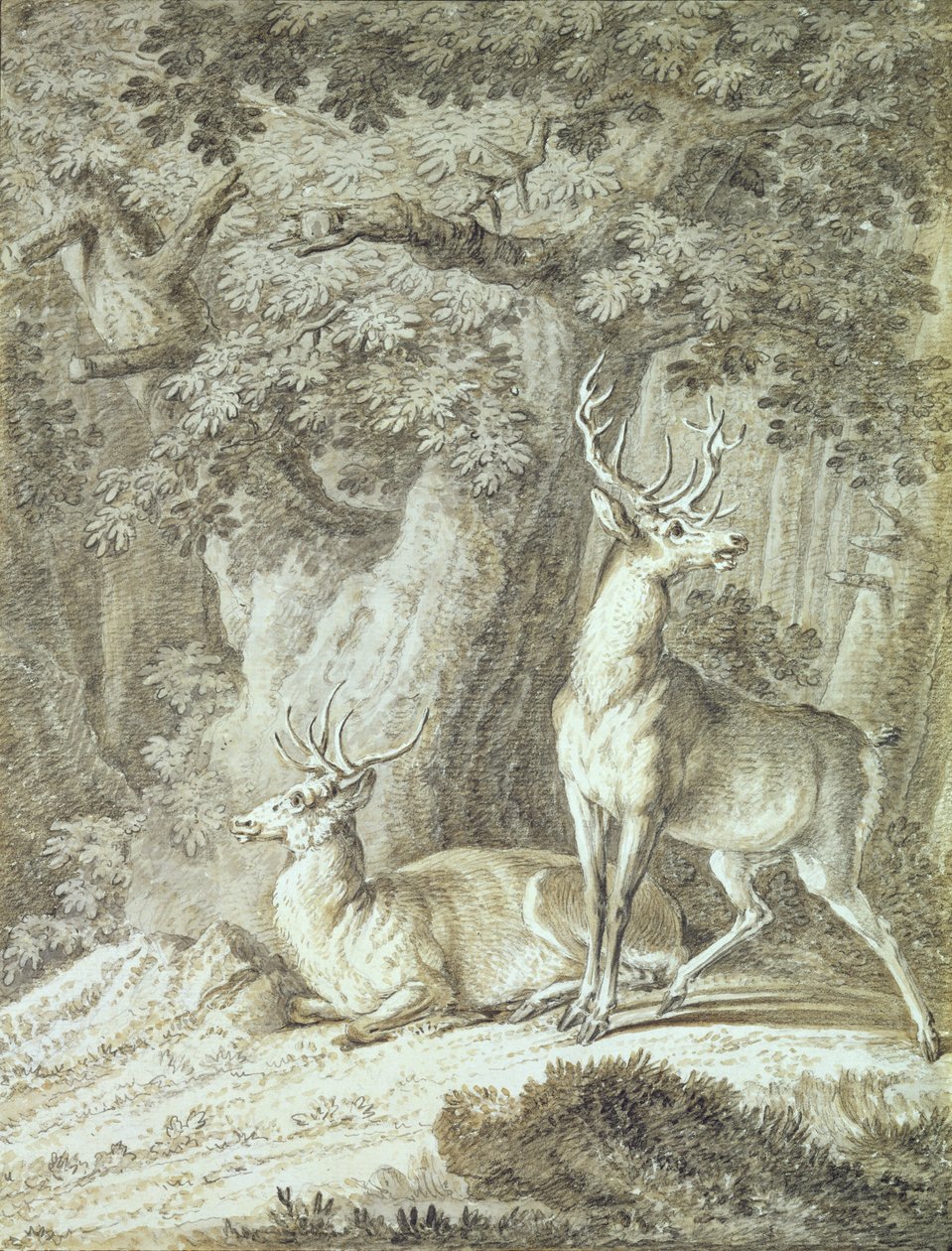 两只雄鹿（纸上的蜡笔） 作者 Johann Elias Ridinger或Riedinger