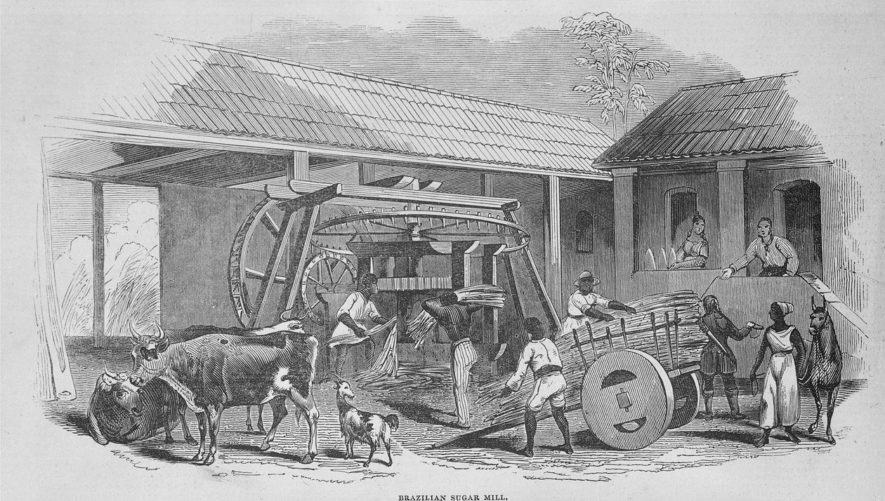 糖厂，1835年 作者 约翰·莫里茨·鲁根达斯