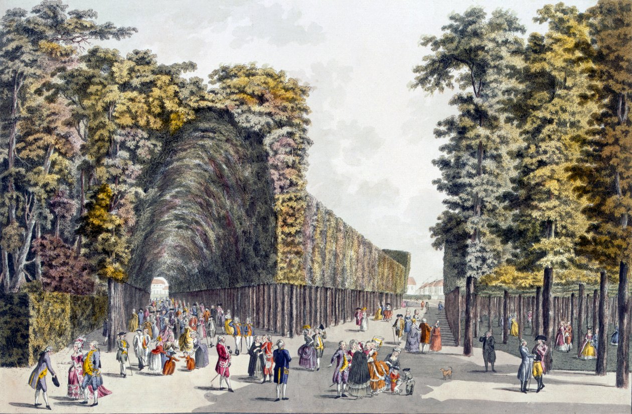 Limegrove Walk，Augarten，维也纳，1790年代 作者 约翰齐格勒