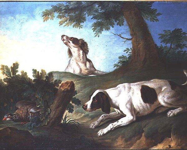 猎犬放养鹧鸪 作者 约翰·迈克尔·巴德（Johann Michael Baader）