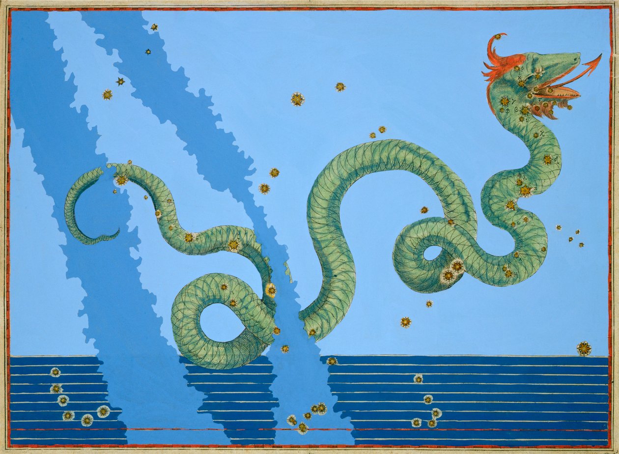 蛇夫座，1603年 作者 约翰·拜耳