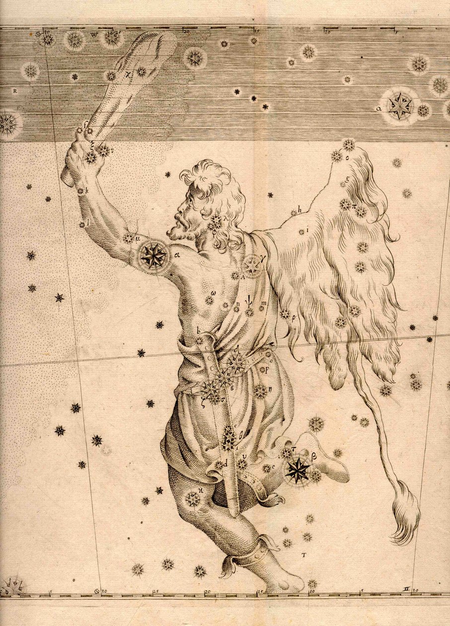 显示猎户座的《天体测量学》（1661年）。 作者 约翰·拜耳