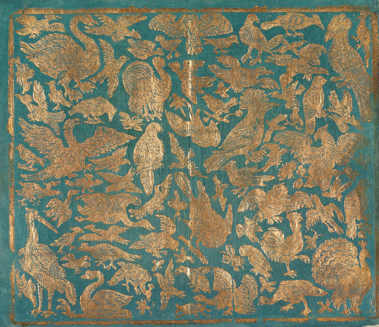 描写鸟类的织锦纸，约1790年。 作者 约翰·卡尔·蒙克