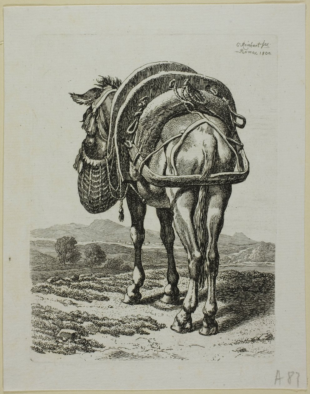 喂骡子 - 后部，选自《第二动物序列 作者 约翰·克里斯汀·赖因哈特（Johann Christian Reinhart）