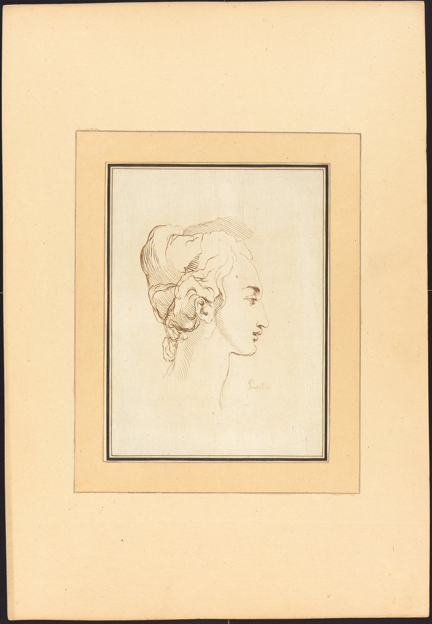 一个女人的头 作者 在 Guercino 之后的 Johann Gottlieb Prestel
