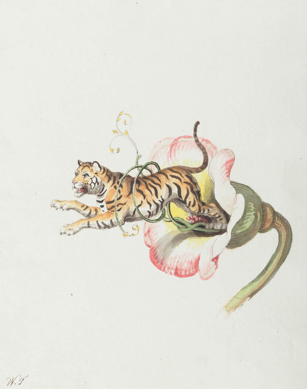 从花冠跳的老虎。关于花种子的寓言，1817年。 作者 约翰·海因里希·威廉·蒂施贝因