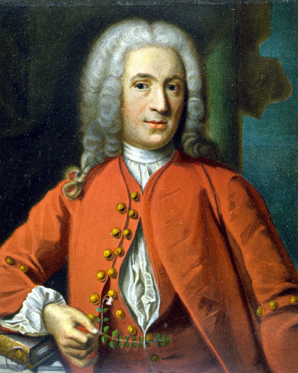 卡尔·冯·林内 (Carl Von Linné) 瑞典博物学家和作家 (1707 - 1778) - J. H. Scheffel 着，收录在第谷·图尔伯格 (Tycho Tullberg) 的《林内肖像》中 作者 约翰·亨利克·舍费尔