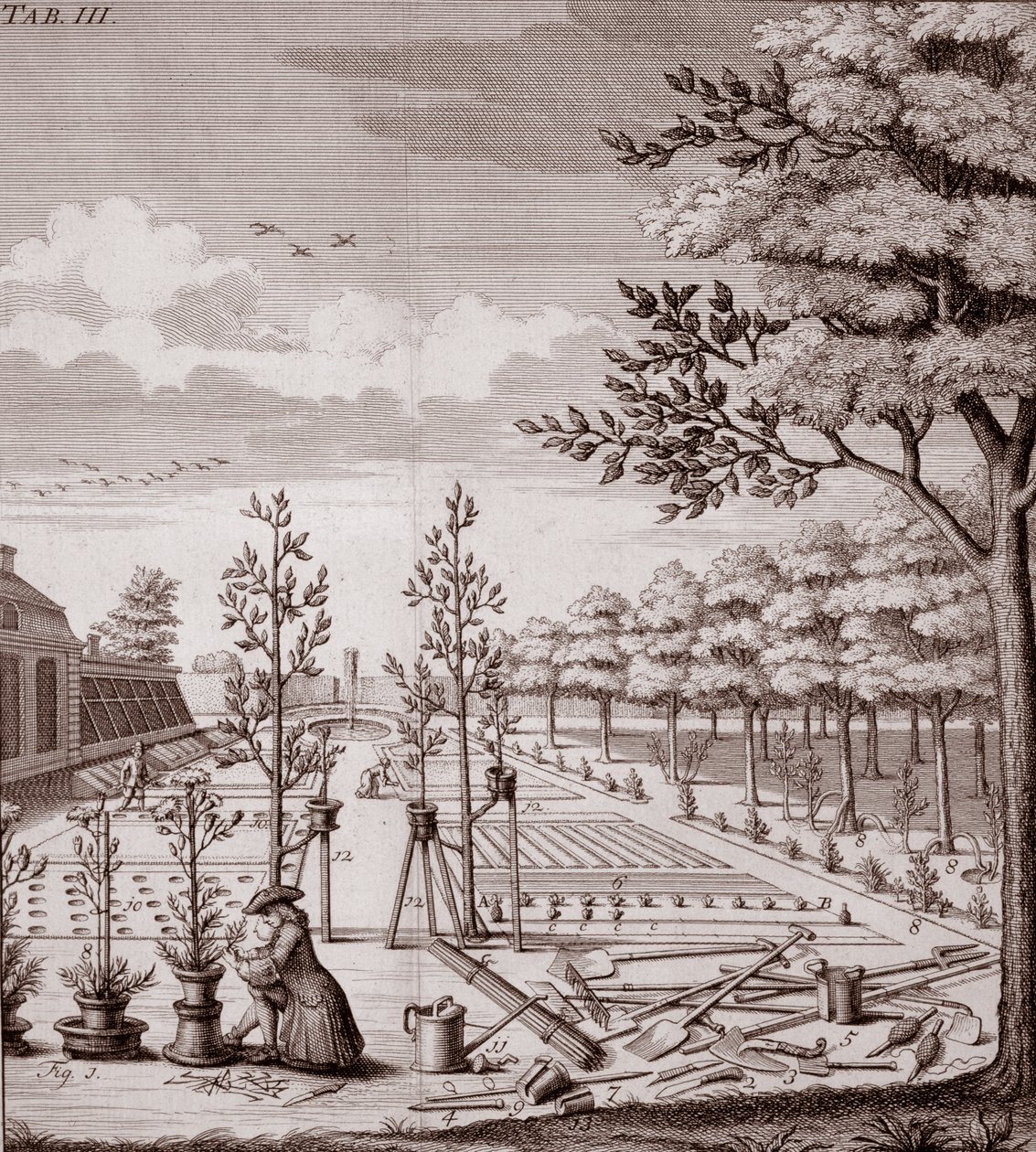 1753年庭院场面例证 作者 约翰·赫尔曼·努普（Johann Hermann Knoop）