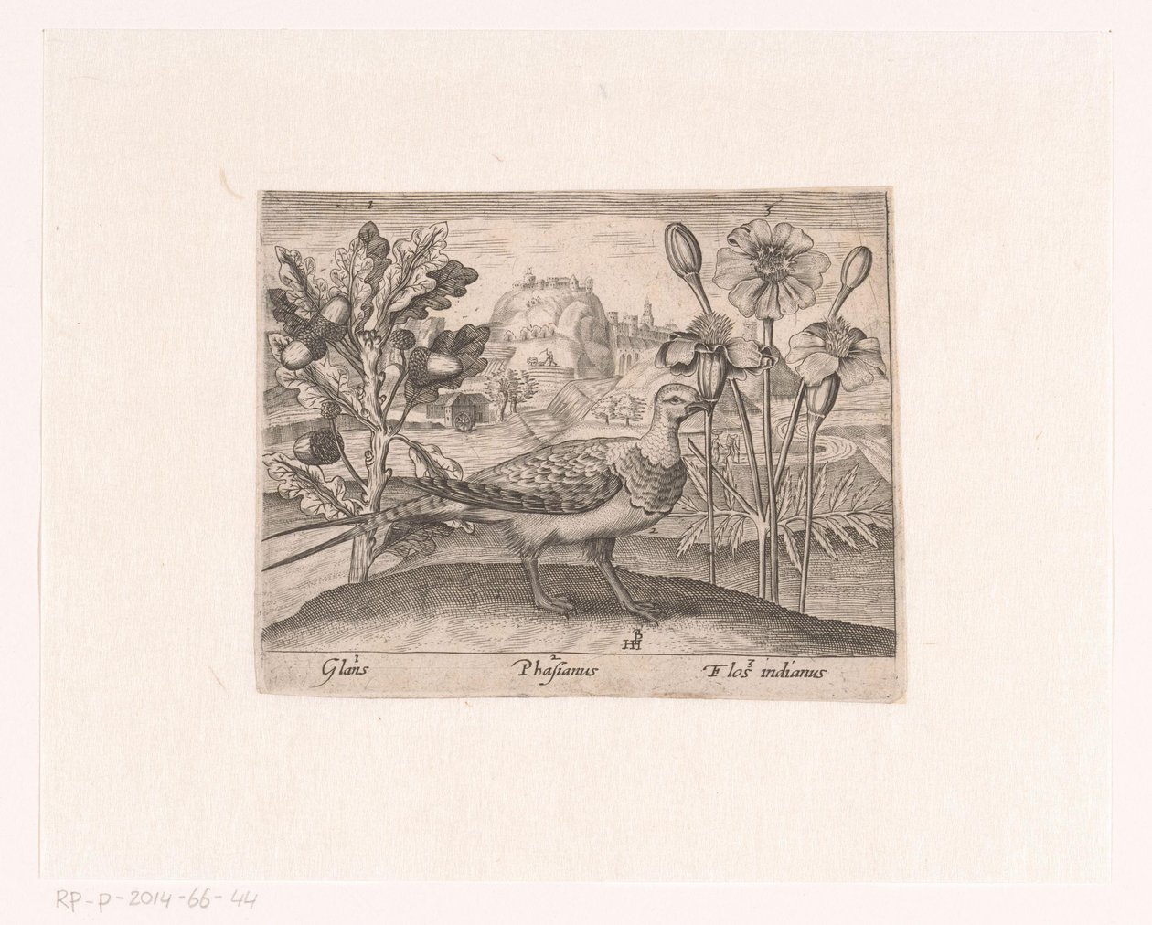 风景中的花卉和动物系列版画
有橡树、野鸡和菊花的风景画
有动物、植物和花卉的风景（系列名称） 作者 约翰霍根伯格