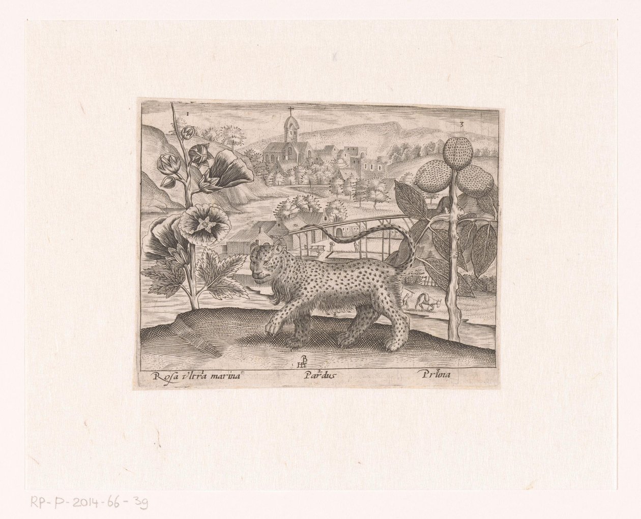 风景中的花卉和动物系列版画
有冬青、金钱豹和梅树的风景画
有动物、植物和花卉的风景画（系列名称） 作者 约翰霍根伯格
