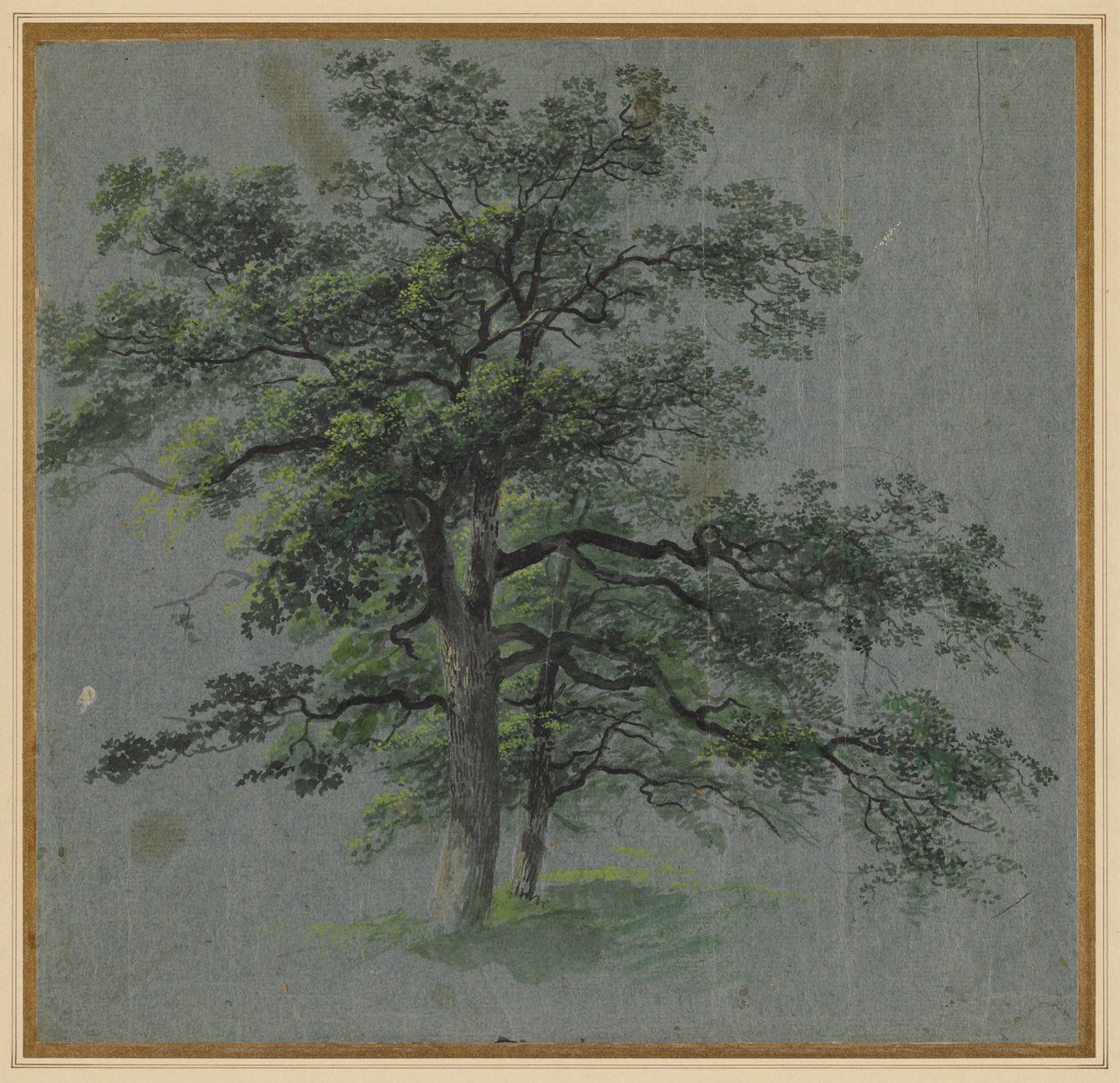 两棵树，19世纪上半叶。 作者 约翰·雅各布·多纳