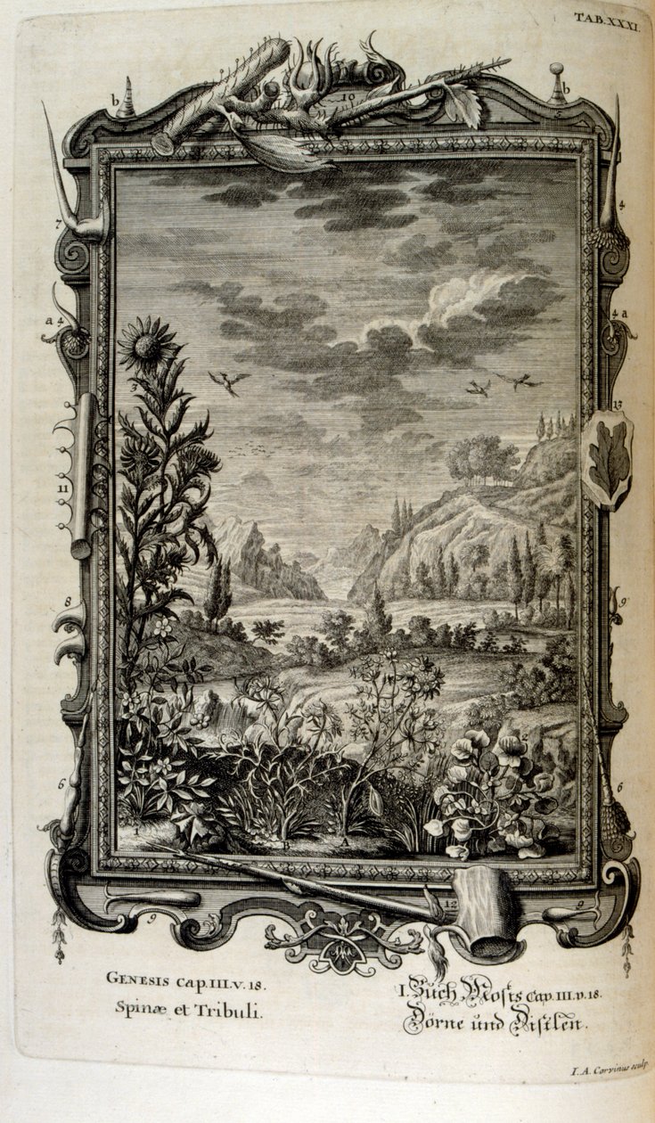瑞士学者 Johann Jakob Scheuchzer 所著《Physica Sacra》中的铜版画。约翰-雅各布-舍赫泽 作者 约翰·雅各布·舒赫泽