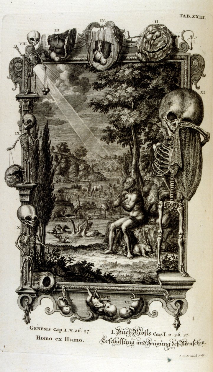 瑞士学者《Physica Sacra》中的铜版雕刻。 约翰·雅各布·舍伊泽 作者 约翰·雅各布·舒赫泽