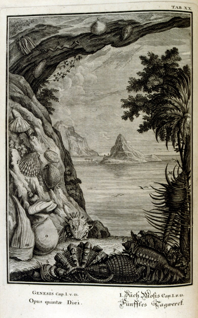 瑞士学者 Johann Jakob Scheuchzer 所著《Physica Sacra》中的铜版画。约翰-雅各布-舍赫泽 作者 约翰·雅各布·舒赫泽