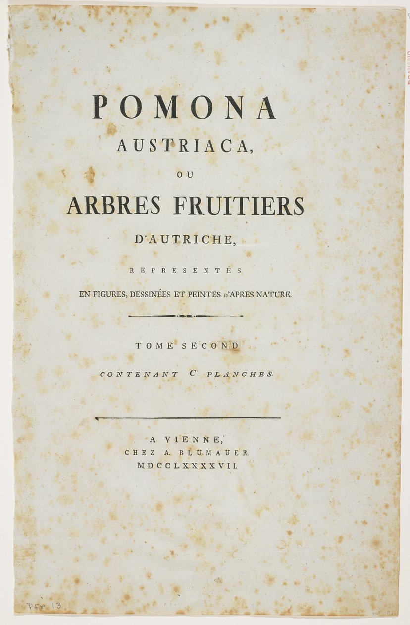 &39;Pomona Austriaca，或来自奥地利的果树&39;的标题页，1787-96（打印） 作者 约翰·卡夫（Johann Kraft）