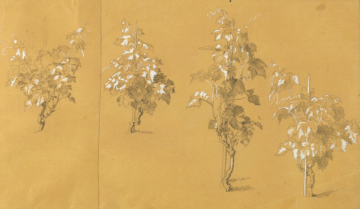 温斯托克，"葡萄园中的赫尔曼和多萝西娅 "研究报告 作者 约翰·彼得·克拉夫特