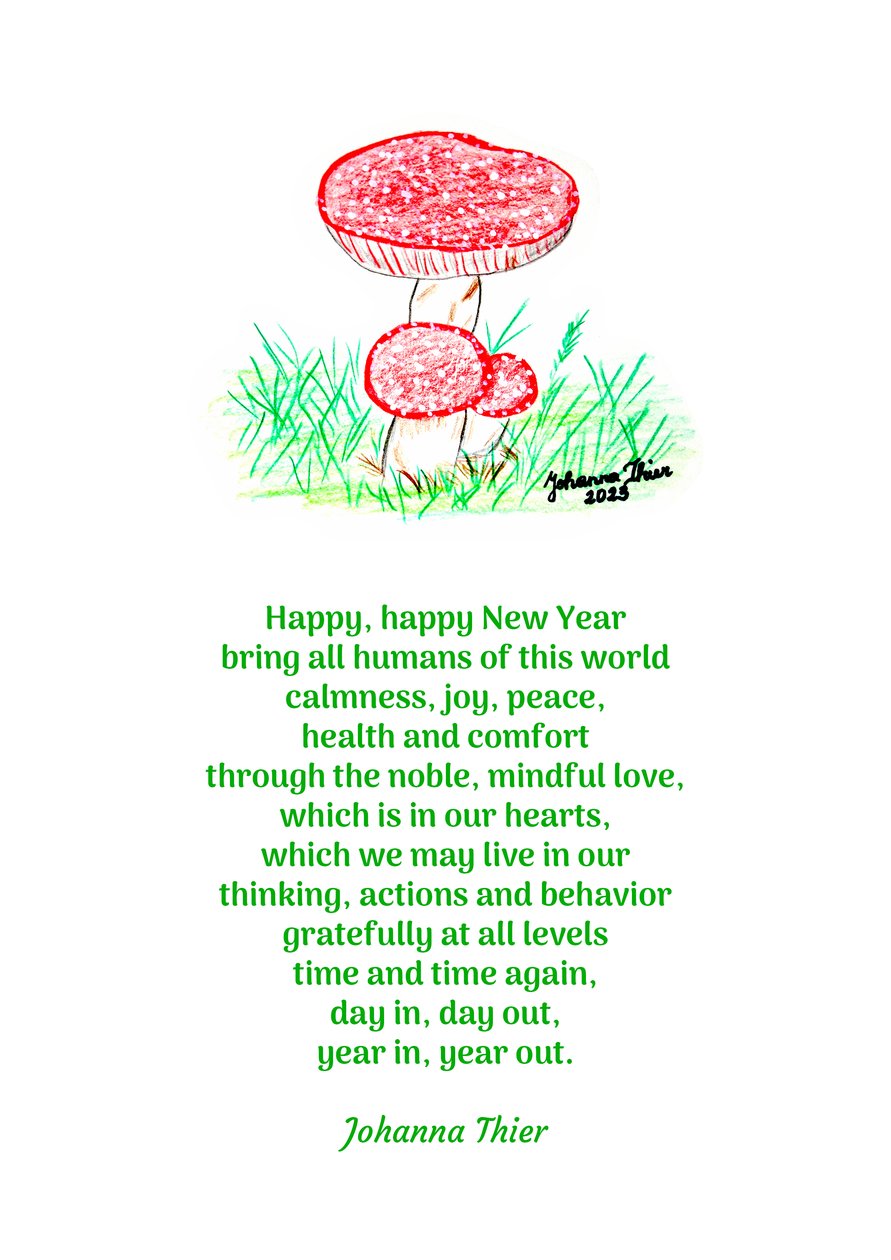 新年快乐 - 版本 2 作者 约翰娜蒂尔