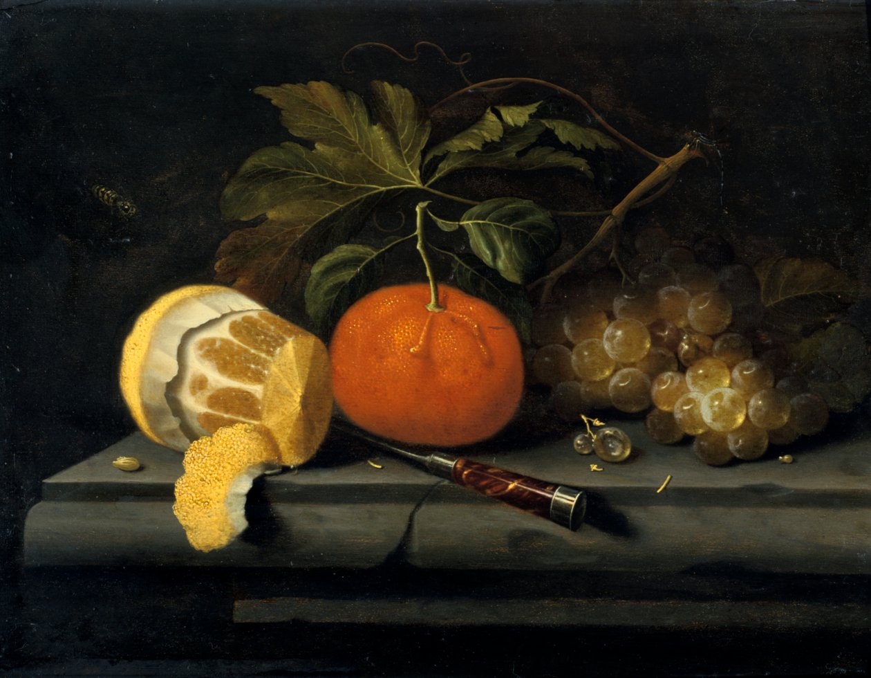 石头桌上的水果，c1653-1659 作者 约翰尼斯·博曼（Johannes Borman）