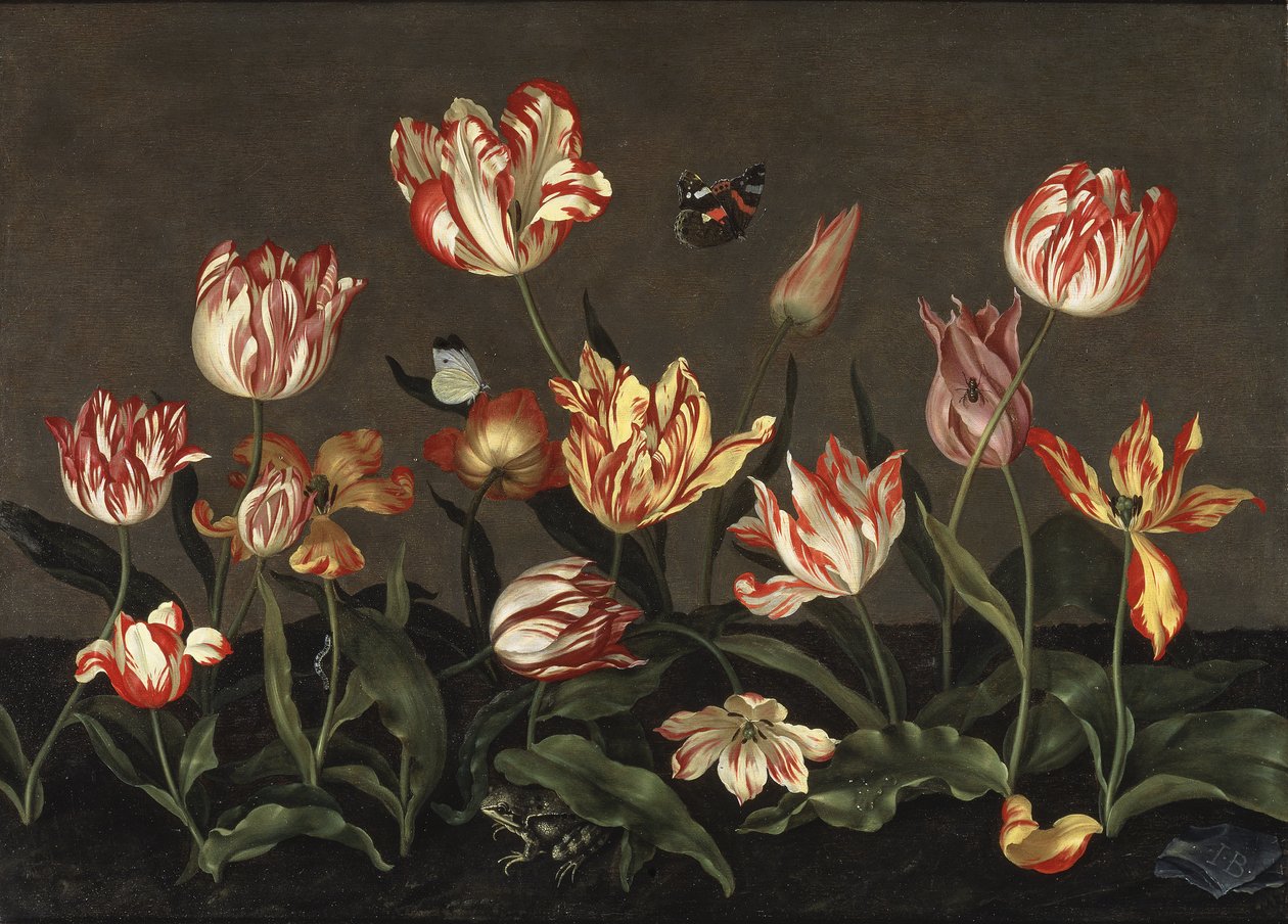 郁金香静物》，作者Bosschaert, Johannes (约1610-约1650)。油画在木头上。尺寸：46x64厘米。斯德哥尔摩国家博物馆 作者 约翰内斯·博沙特（Johannes Bosschaert）