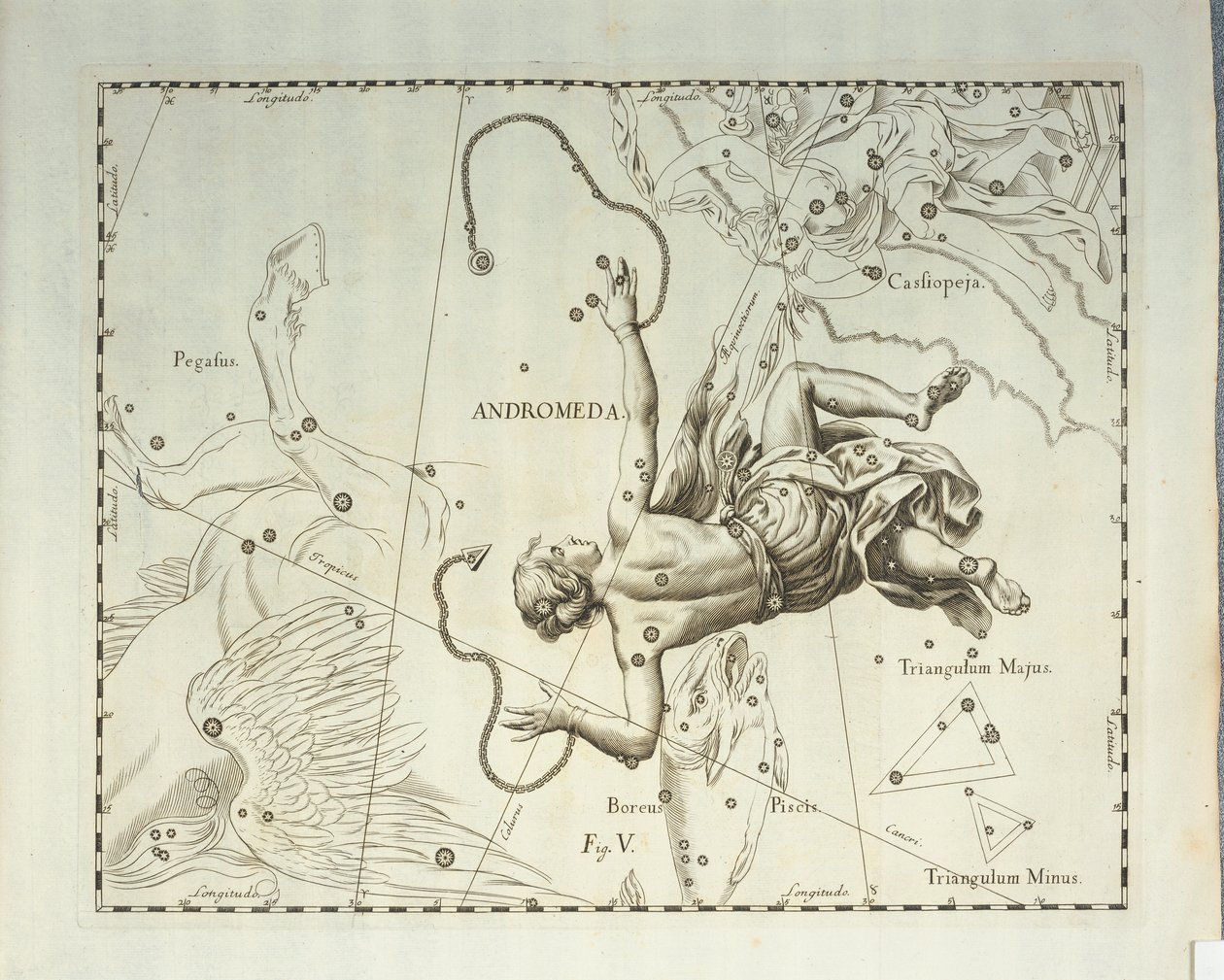 北半球仙女座星座，雕刻自天体图集 Firmamentum Sobiescianum sive Uronographia，约翰·赫维留斯 (Johann Hevelius，1611-1687)，格但斯克 作者 约翰尼斯·赫维留斯