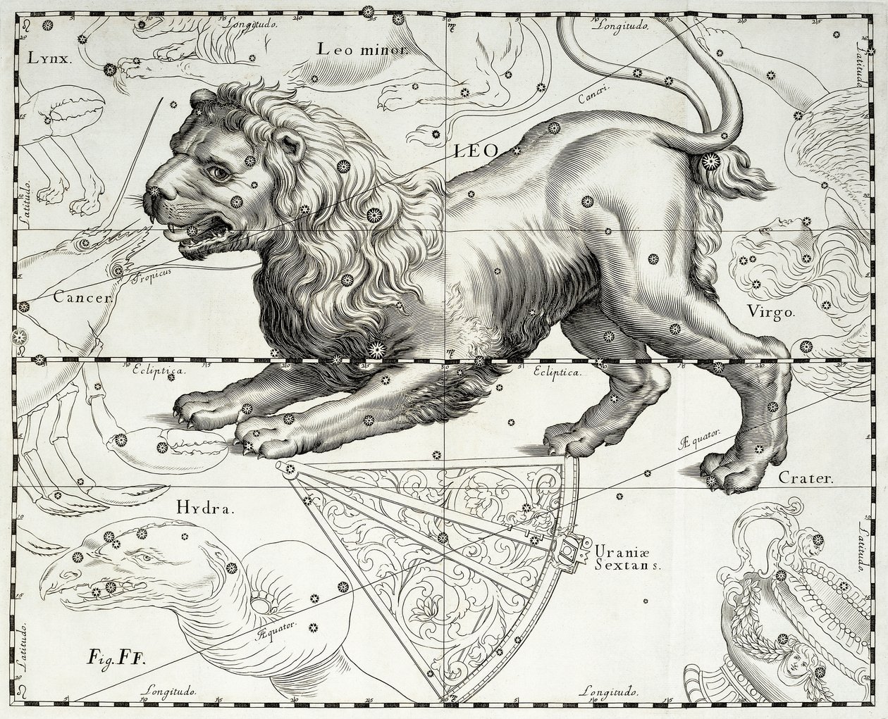 狮子座，狮子座，插图取自 Johann Hevelius (1611-1687) 星图谱 Firmamentum Sobiescianum sive Uranographia，格但斯克 作者 约翰尼斯·赫维留斯