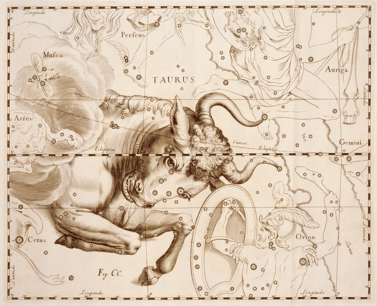 金牛座（黄道十二宫），雕刻自 Firmamentum Sobiescianum sive Uranographia，完整的星表，作者：Johann Hevelius（1611-1687），在格但斯克印刷 作者 约翰尼斯·赫维留斯