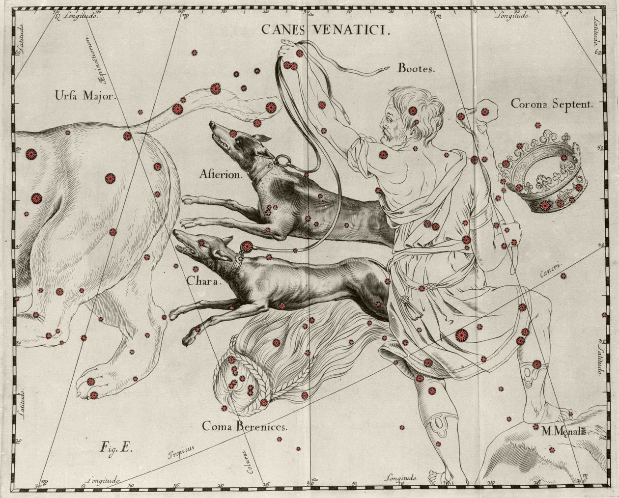 猎犬星座 Canes Venatici。 取自 Johannes Hevelius 或 Hevel（1611-1687）的“Firmamentum Sobiescanum sive Uranographia”的盘子 作者 约翰尼斯·赫维留斯