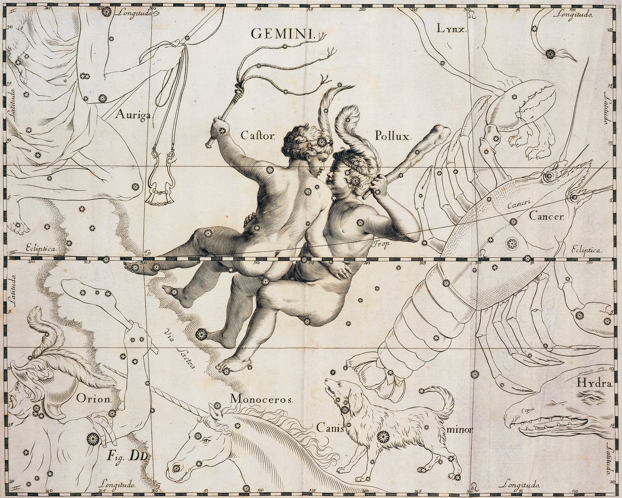 双子座，来自Firmamentum Sobiescianum sive Uranographia的插图，Johann Hevelius (1611-1687), Gdansk 1690. 作者 约翰尼斯·赫维留斯
