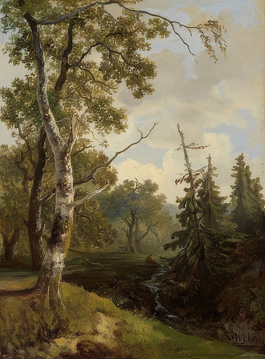 Waldstückbei Wolfheze（Wolfheze附近的森林景观） 作者 约翰内斯·瓦尔纳杜的照片