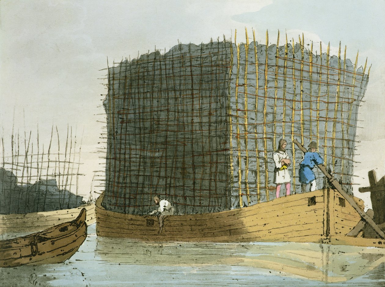 由艺术家蚀刻的木炭树皮于1803年出版 作者 约翰·奥古斯都·阿特金森