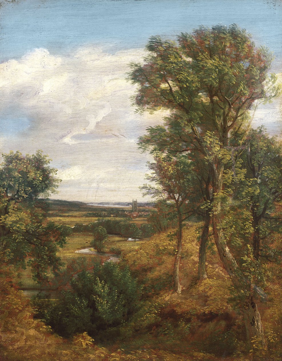 Dedham Vale，1802 作者 约翰·康斯特勃