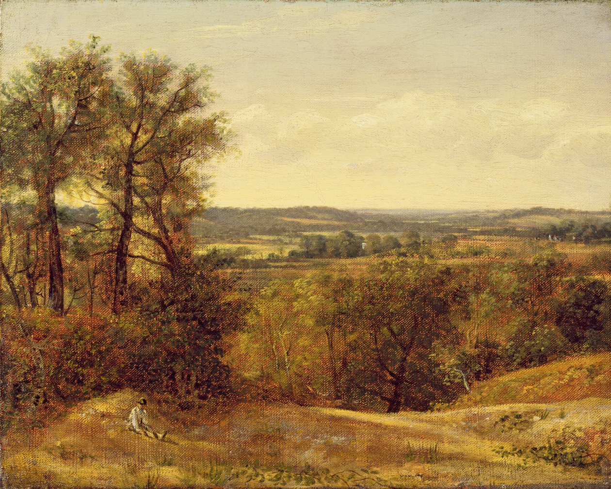 Dedham Vale，c.1802 作者 约翰·康斯特勃