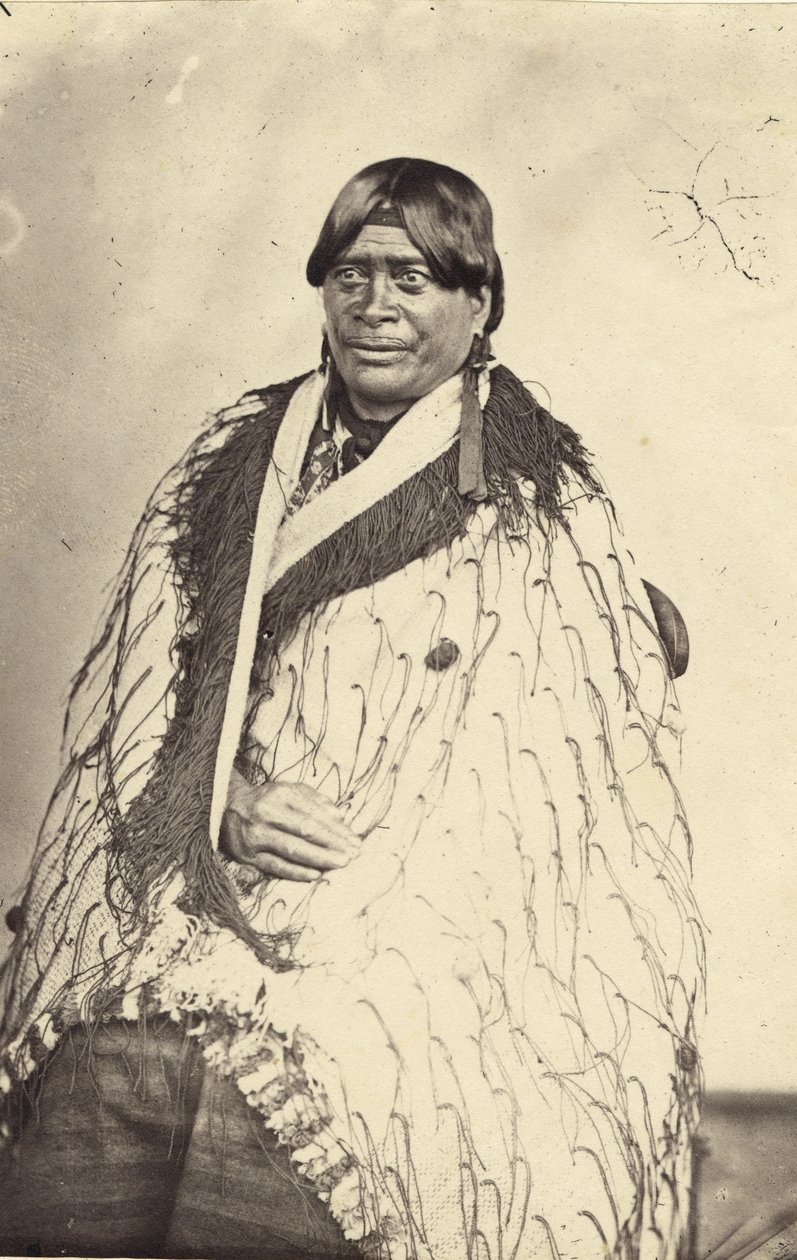 Tairoa女王，1860年（蛋白打印） 作者 约翰·尼科尔·克朗比