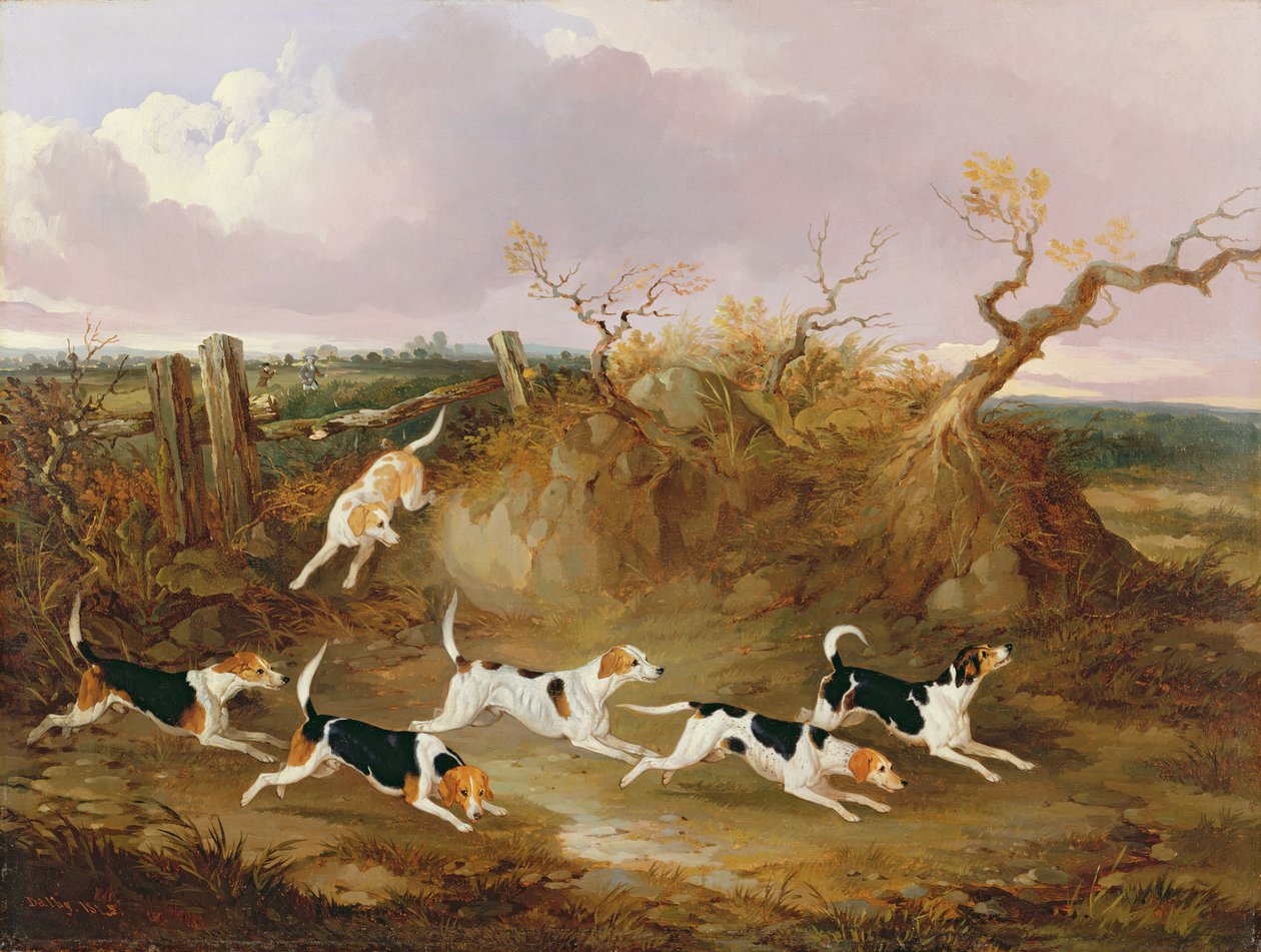Beagle in Full Cry，1845 作者 约翰·达比