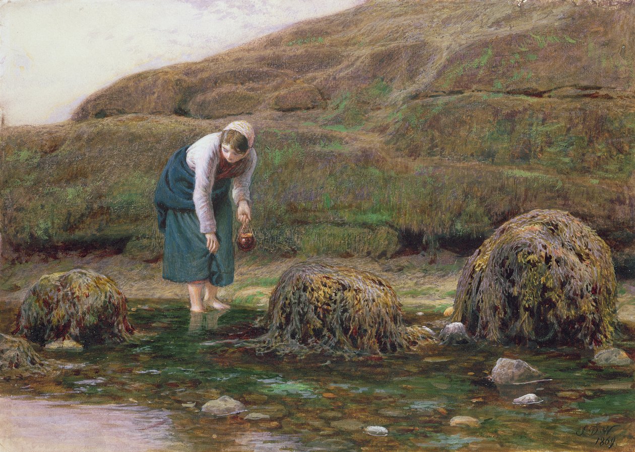 Winkle Gatherer，1869年 作者 约翰·道森·沃森