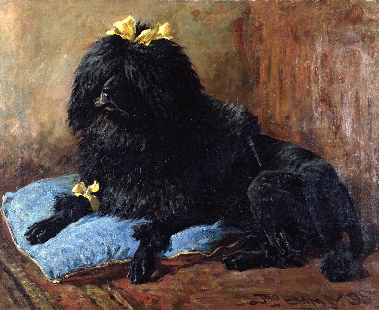1895年蓝色坐垫上的黑色标准贵宾犬 作者 约翰·艾姆斯