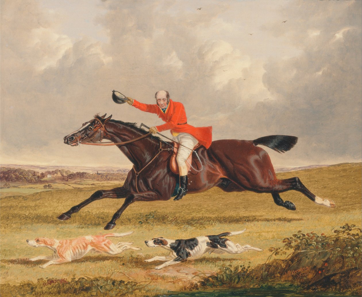 Foxhunting-鼓励猎犬 作者 约翰·F·鲱鱼
