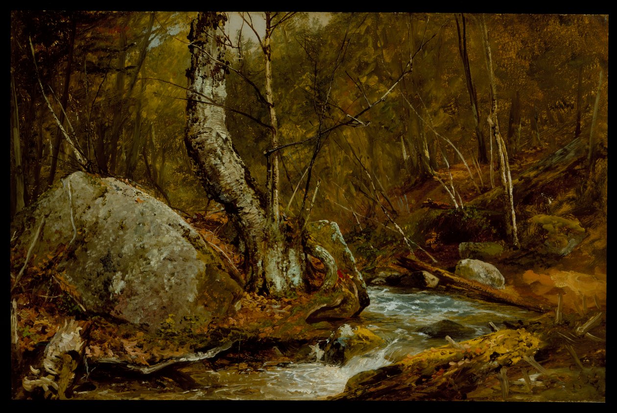 Woodland Interior，c.1850-55 作者 约翰·弗雷德里克·肯塞特