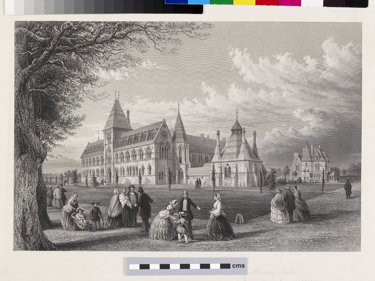 大学博物馆：1860年，1860年的牛津大学 作者 约翰·勒科克斯