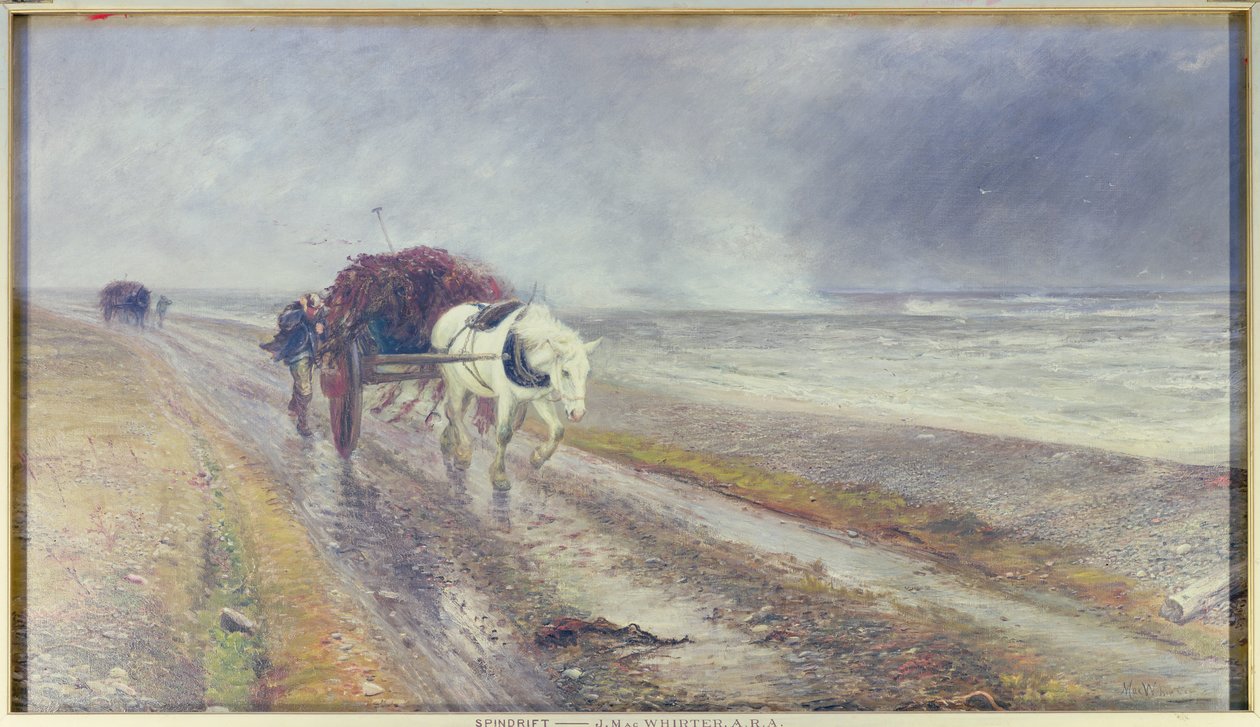 Spindrift，1876 作者 约翰·麦克维尔特