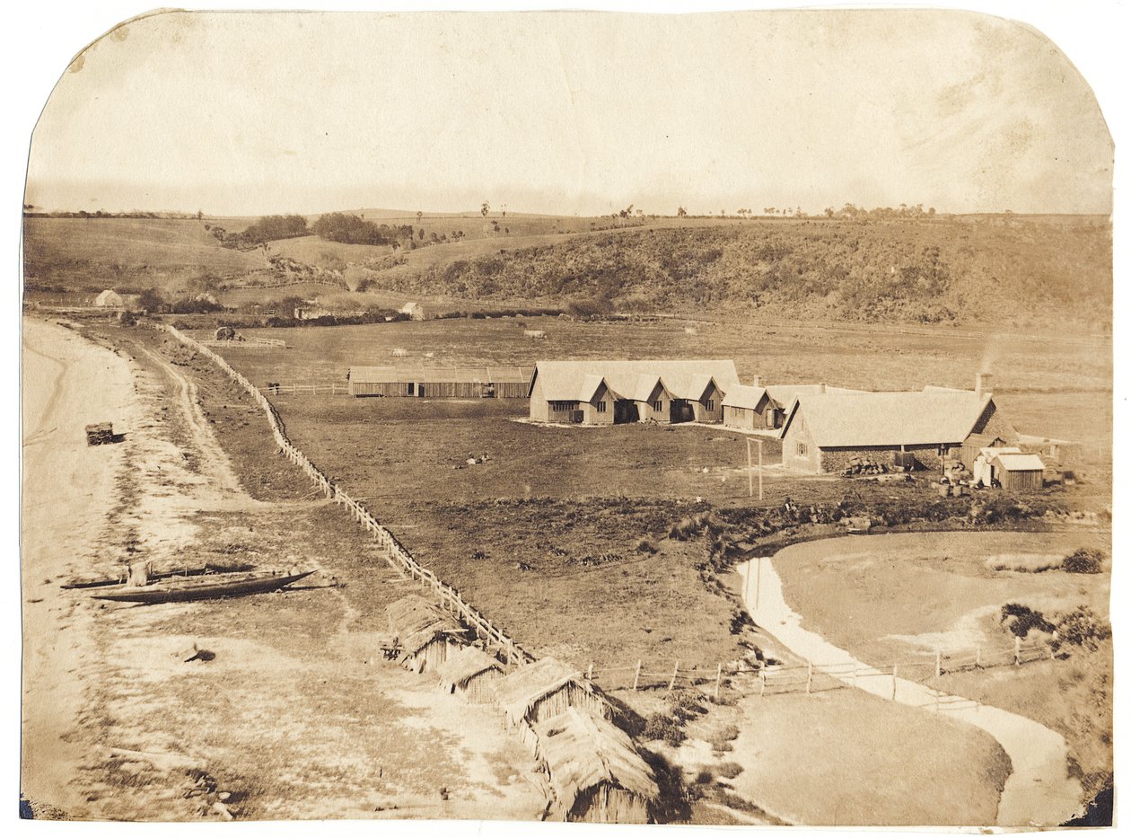 Kohimarama，c.1860（albumenised盐印） 作者 约翰·尼科尔·克朗比