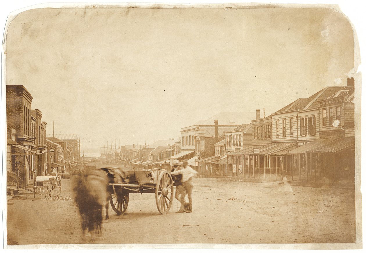 1859年后奥克兰上皇后街（蛋白盐印刷） 作者 约翰·尼科尔·克朗比