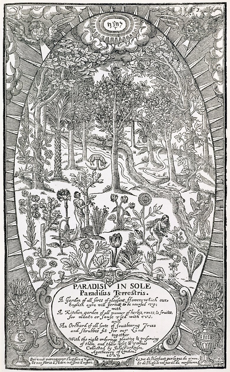 Paradisi Sole的标题页; Paradisus Terrestris，1629 作者 约翰·帕金森