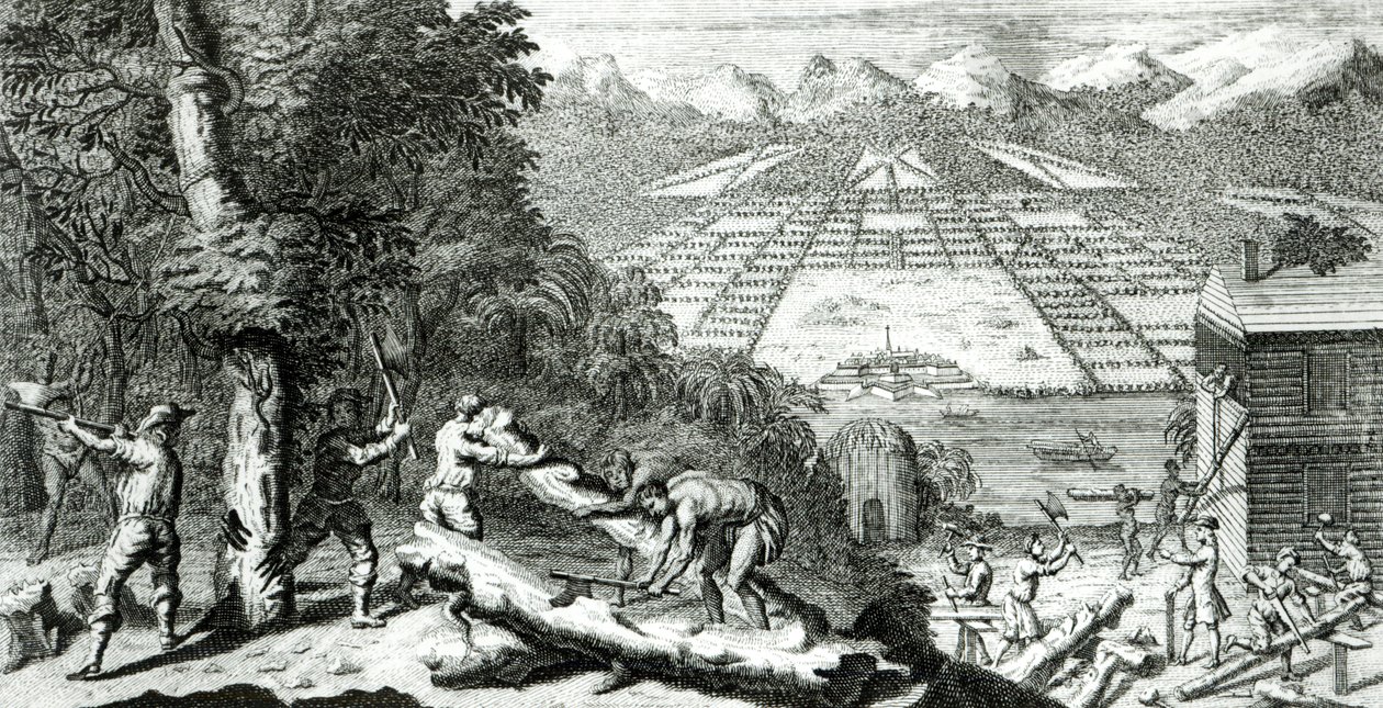1733年Benjamin Martyn（1699-1763）“建立格鲁吉亚殖民地的原因”的插图 作者 约翰·派恩